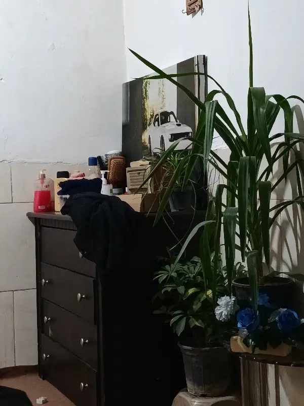 اجاره مغازه  ۱۸متری  بر اصلی