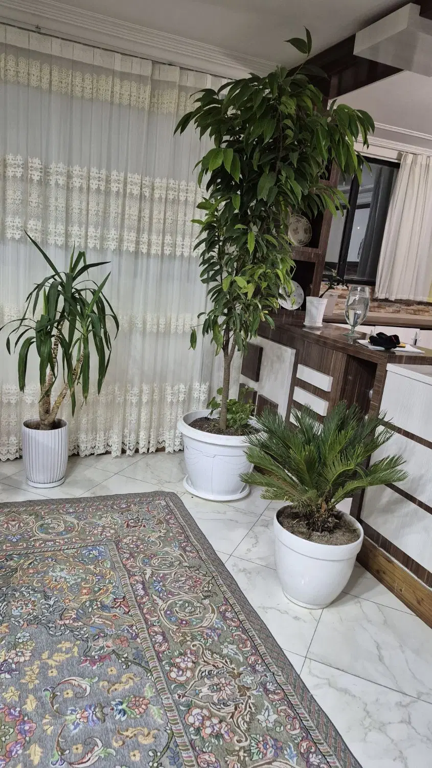واحد۱۱۵ متر رقویی