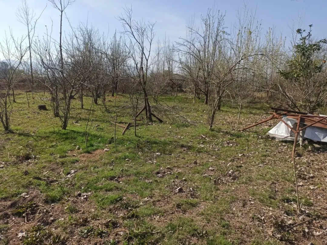 زمین باغی فوری