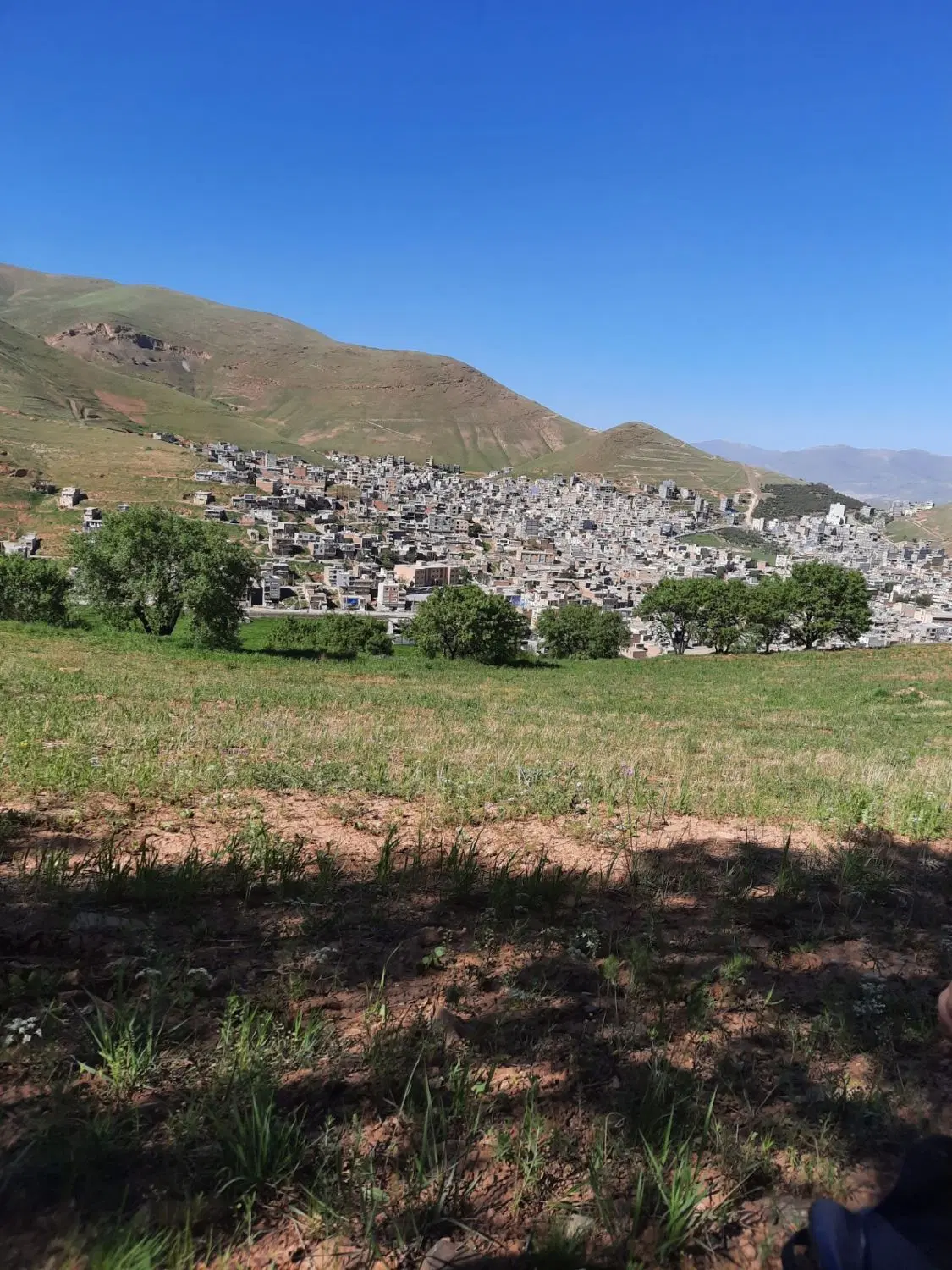 زمین ‌کشاوزی‌‌