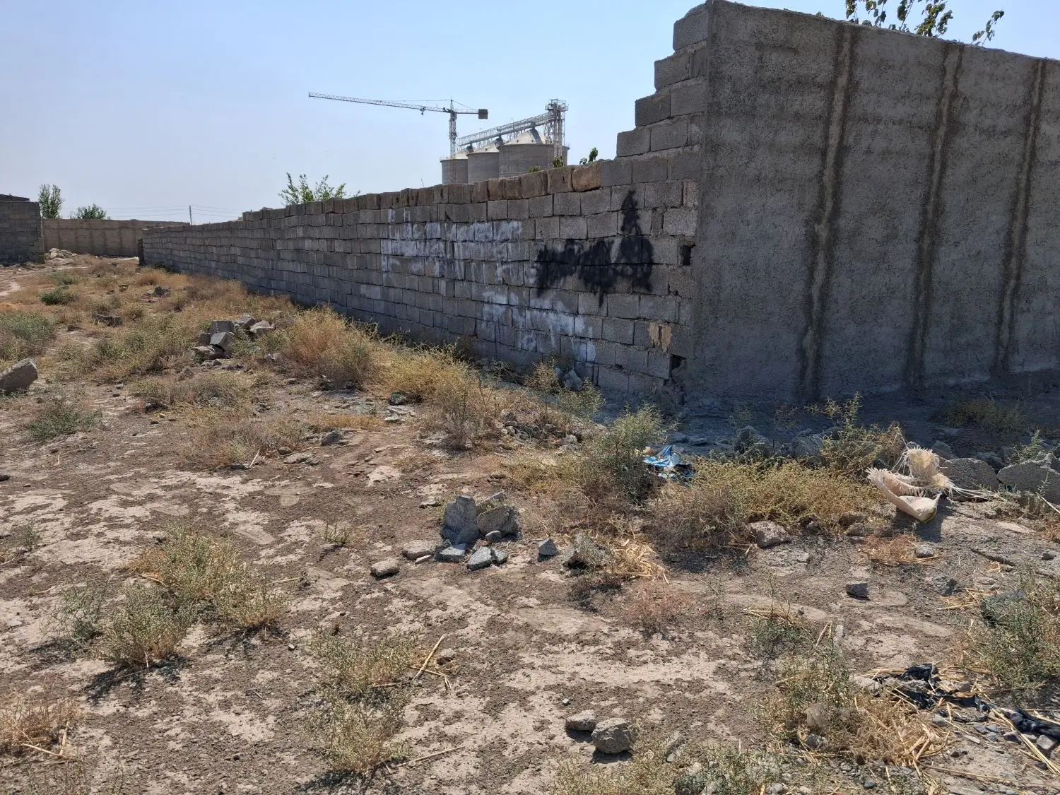 باغچه ۶۰۰ متری