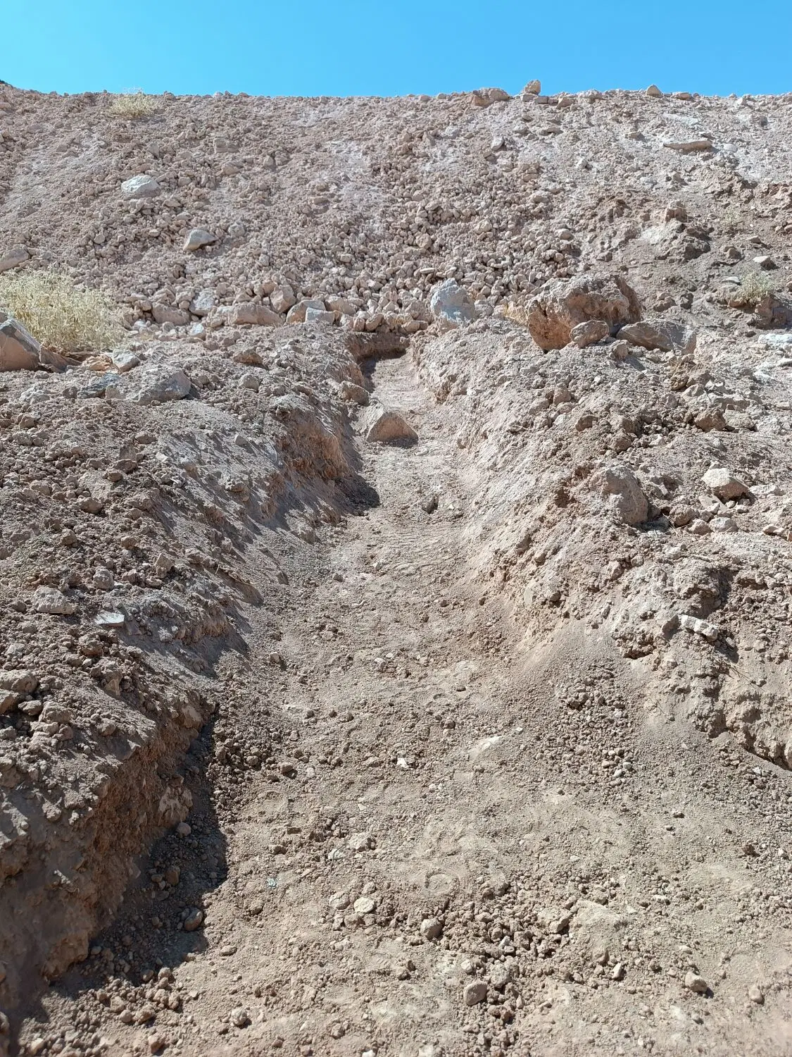 ملک زمین جرسقان
