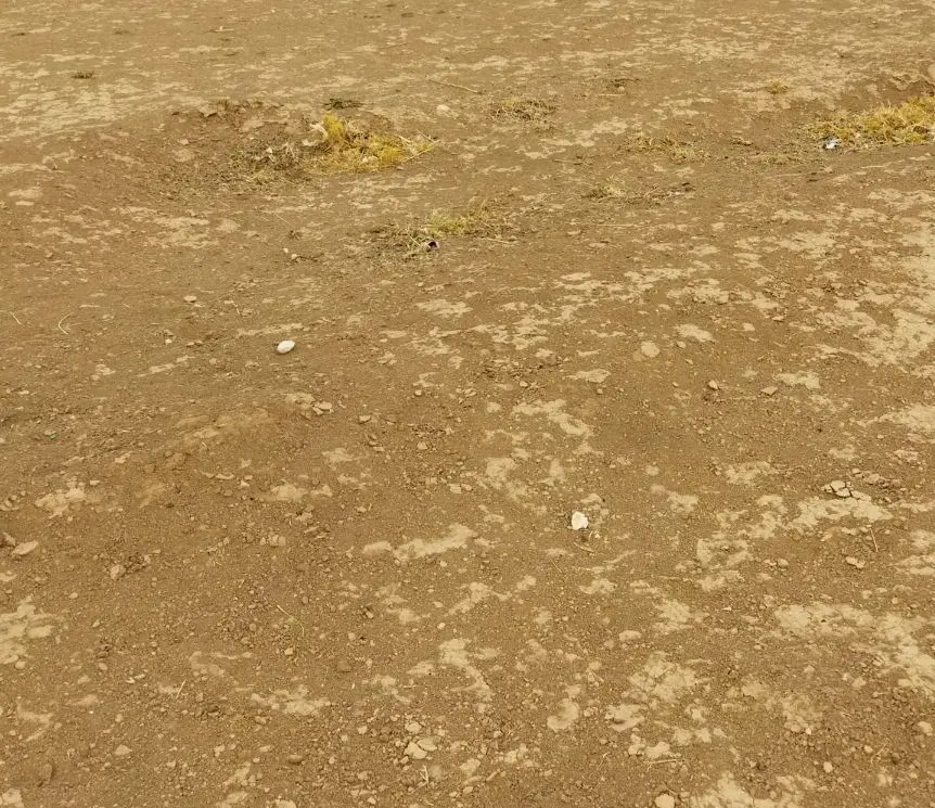 زمین شهرک رجایی