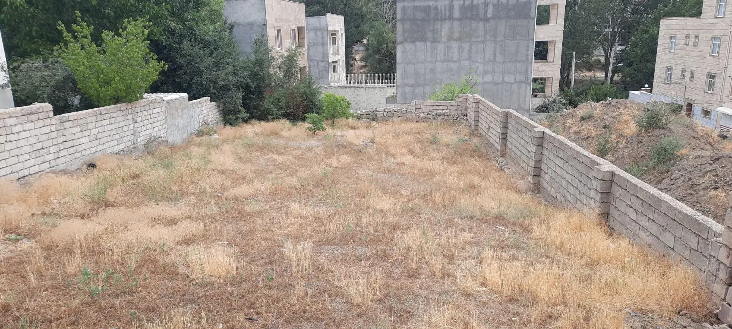 زمین سند تک برگ