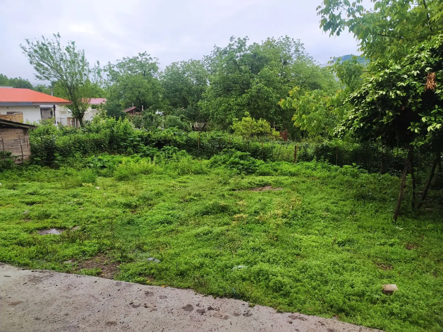 فروش زمین