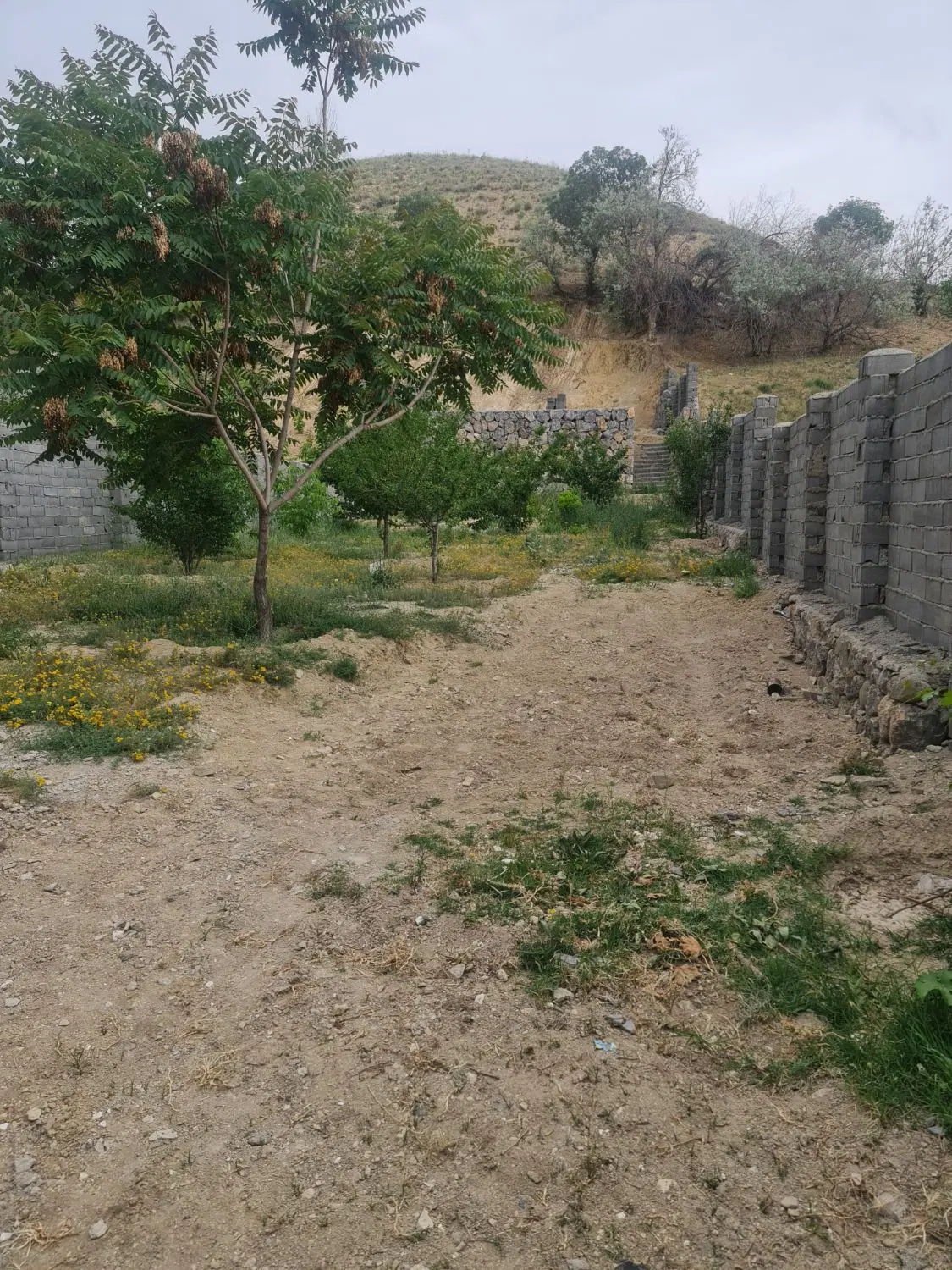 زمین رودهن چناران
