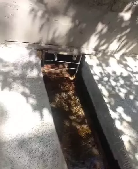 باغ با جوب اب روان داعم