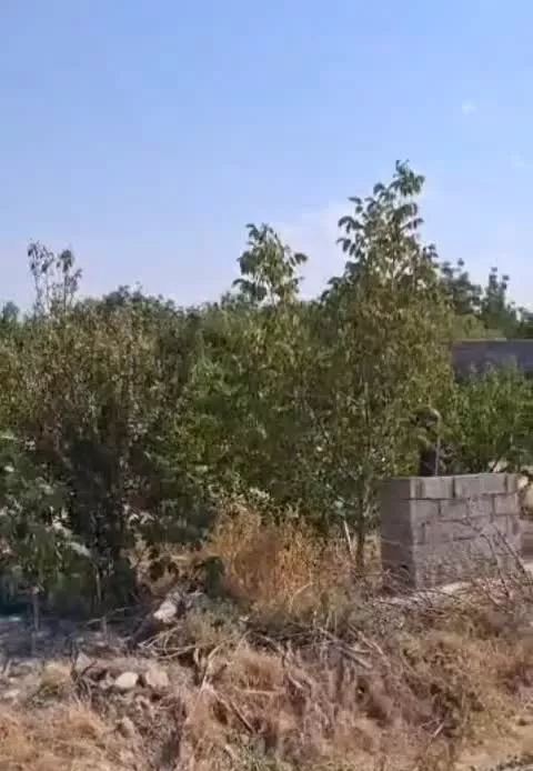۱۵۰۰ متر باغ در باغدشت شهریار