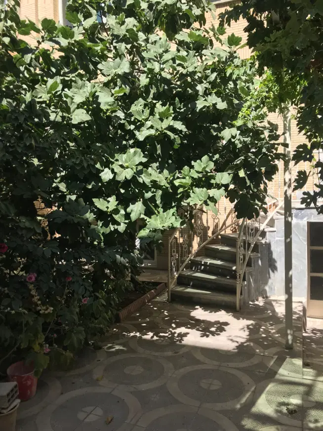 ۴۵۰ متر ویلایی ۱۱ خوابه دربست ولیعصر خیابان اصلی