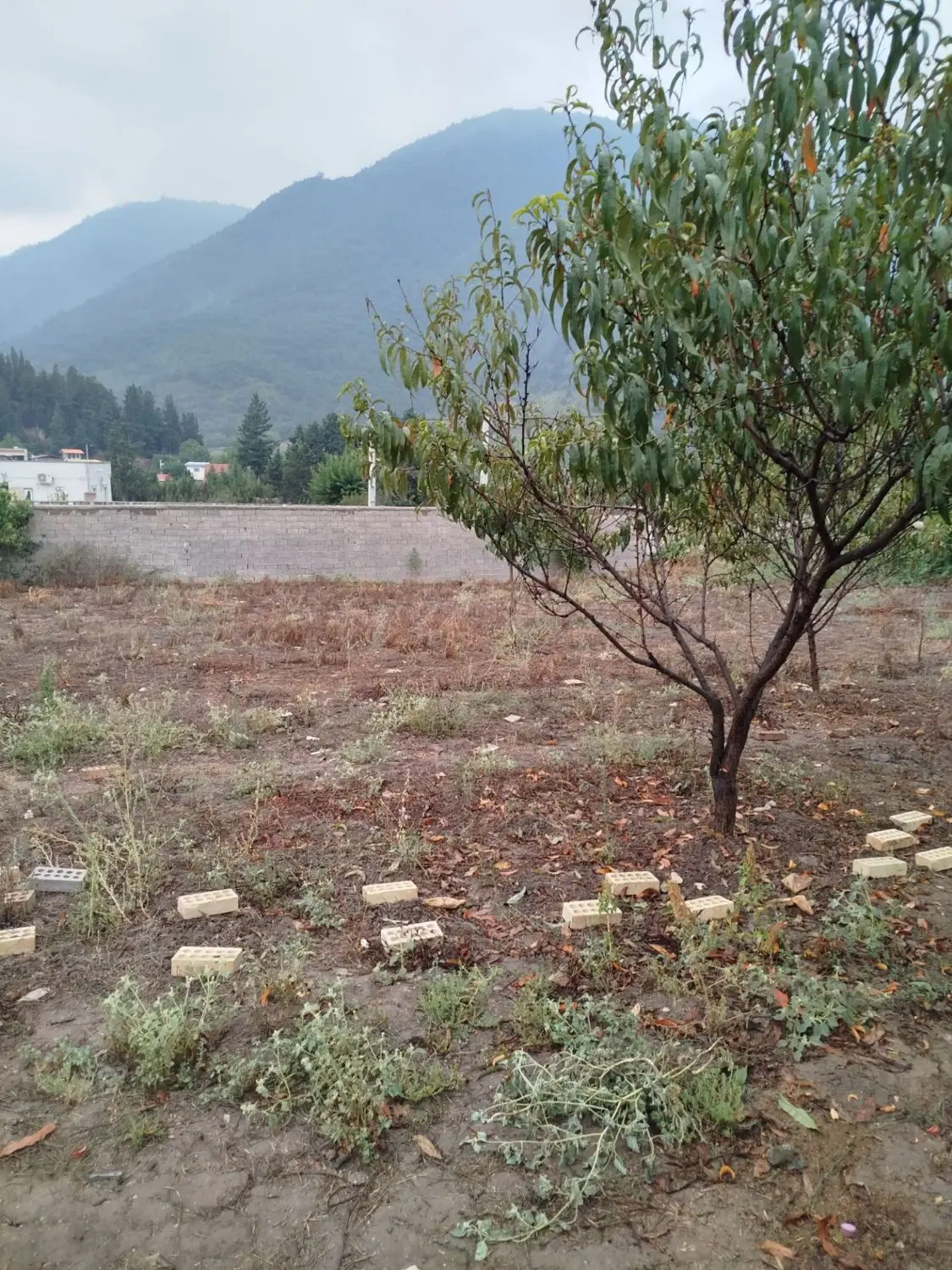 زمین فروشی روستای باقرآباد رامیان
