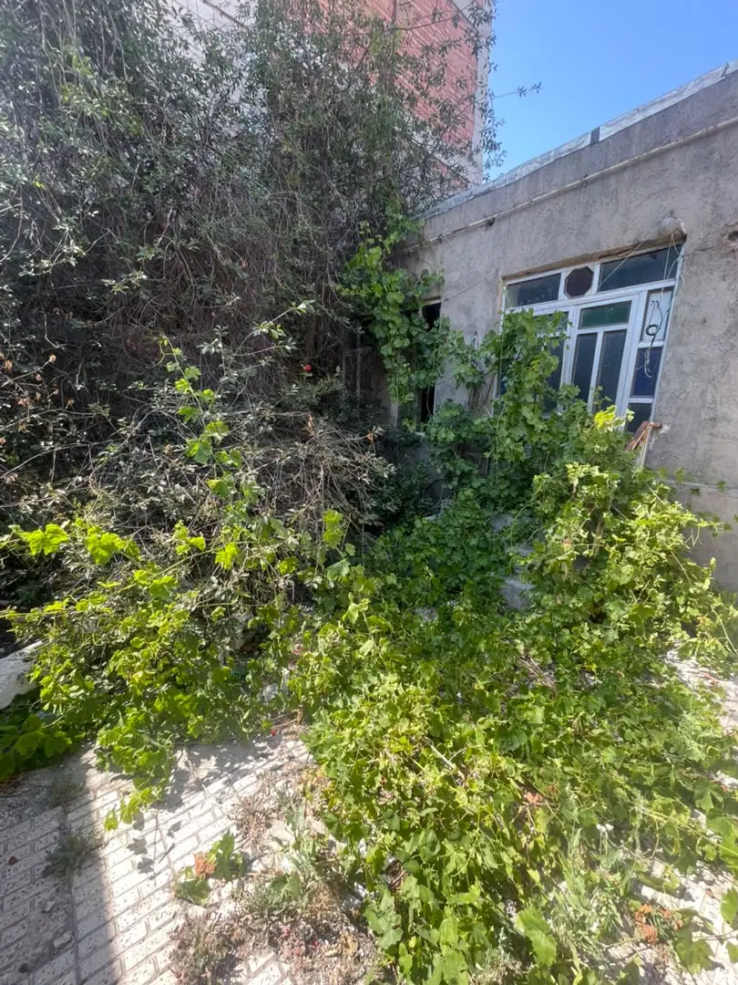 ملک کلنگی جهت مشارکت در ساخت