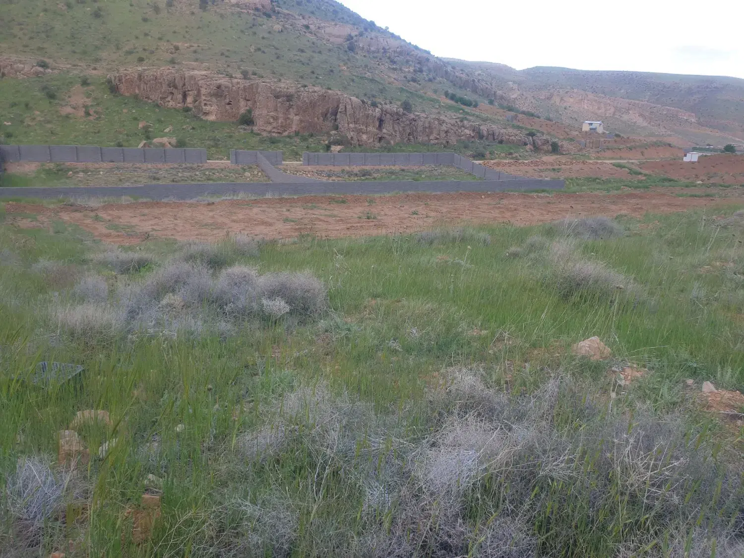 ۱۴۵۰ متر زمین باغ