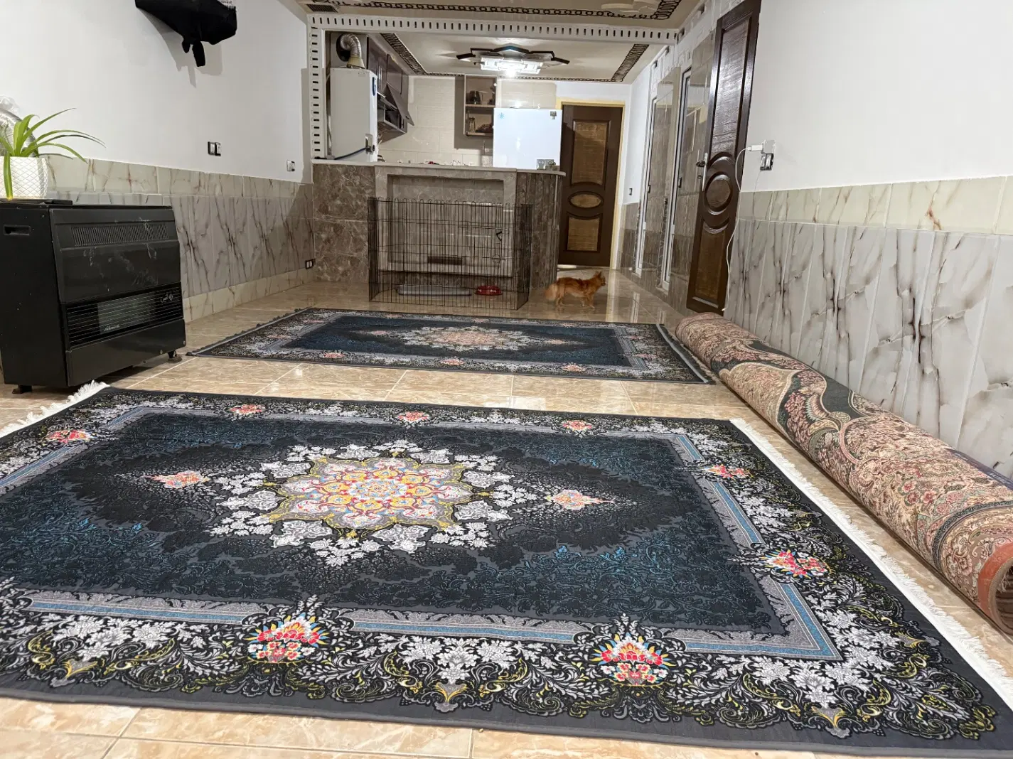 خانه شاپورجان