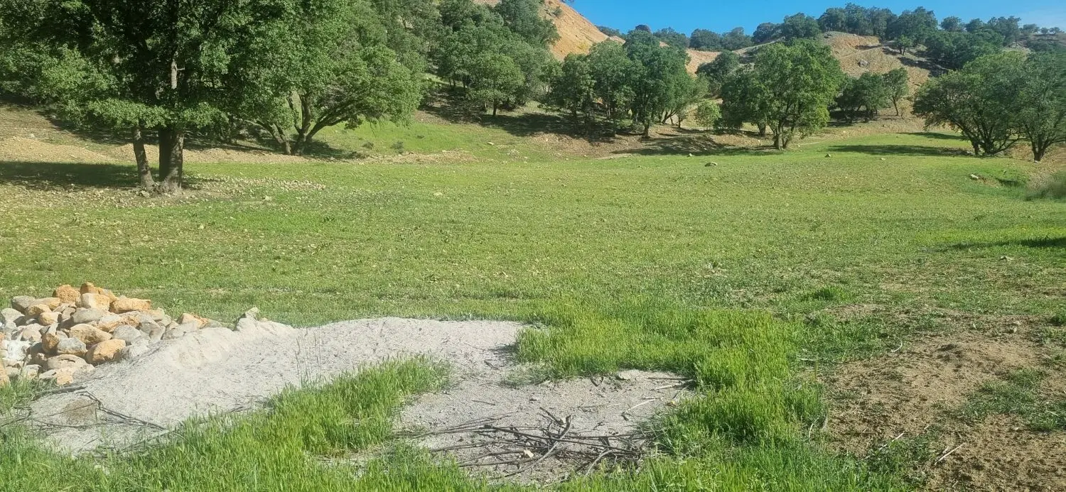 زمین باغ با چشمه چهار فصل ومنبع ۷۰هزار لیتری بیاره