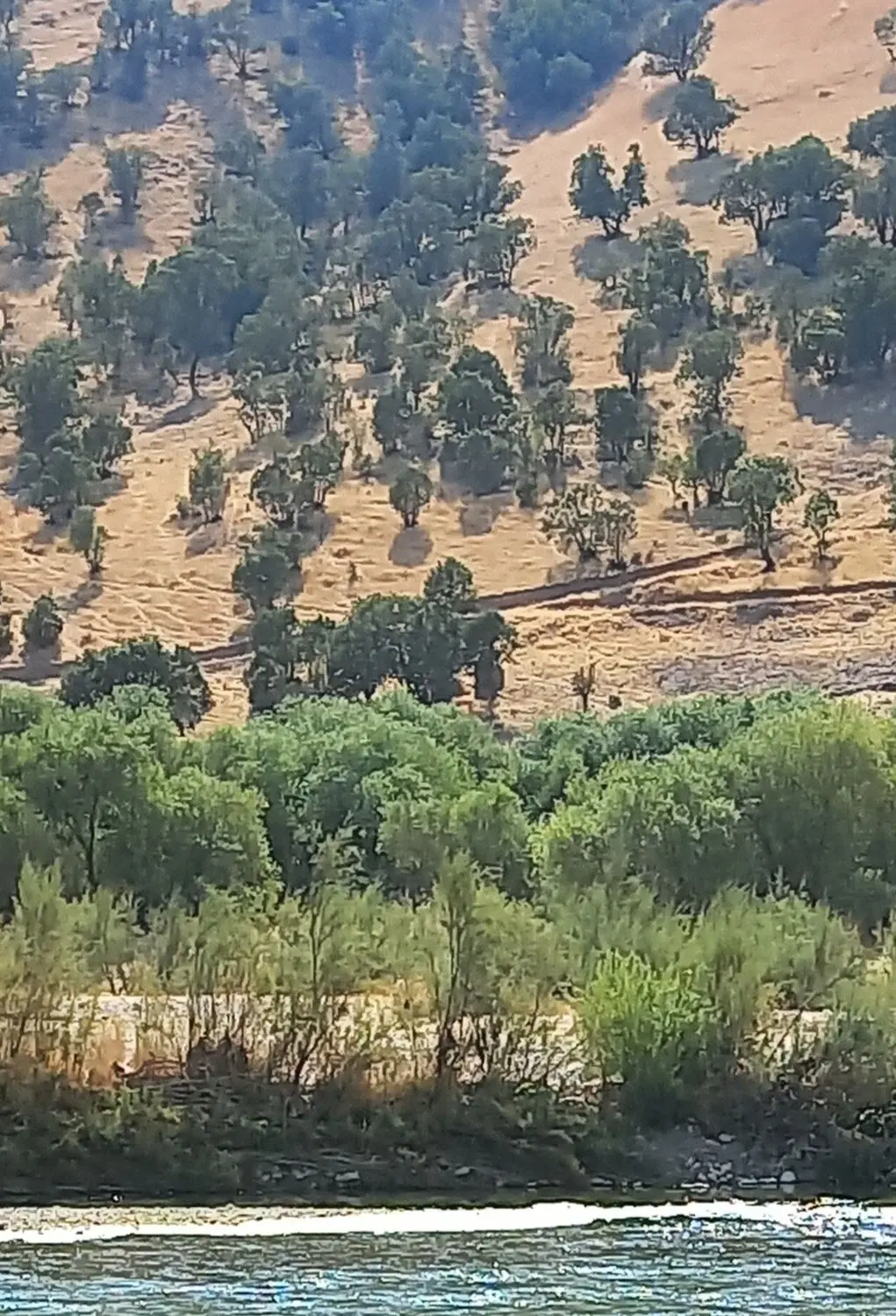 زمین به متراژ ۱۸۰ متر  سه نبش
