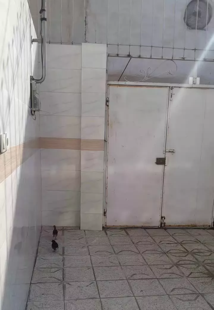 خونه ویلایی دوخوابه