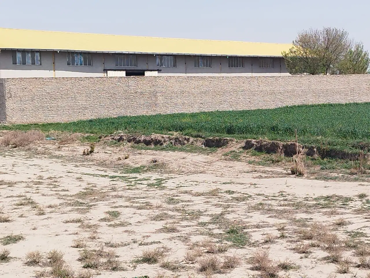 زمین ۳۰۰ متری
