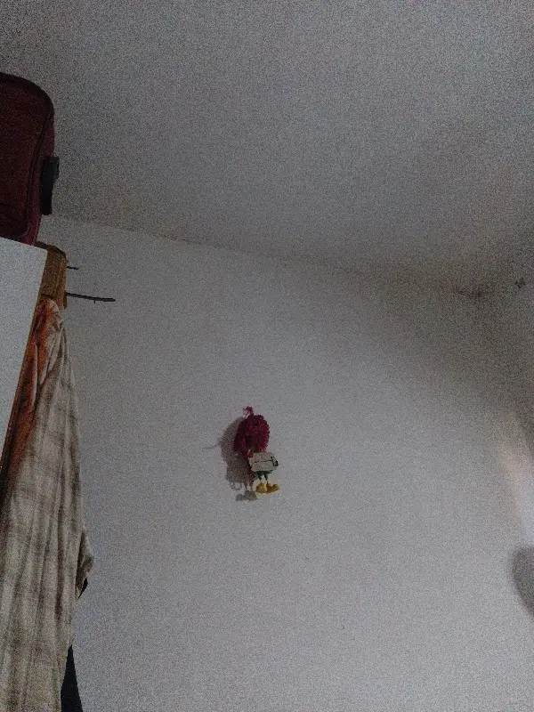 اجاره یه اطاق