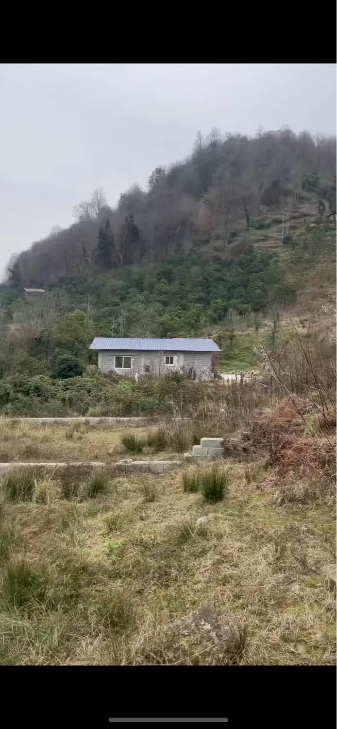 زمین در(دهکده روستای *مازوبن سفلی*)