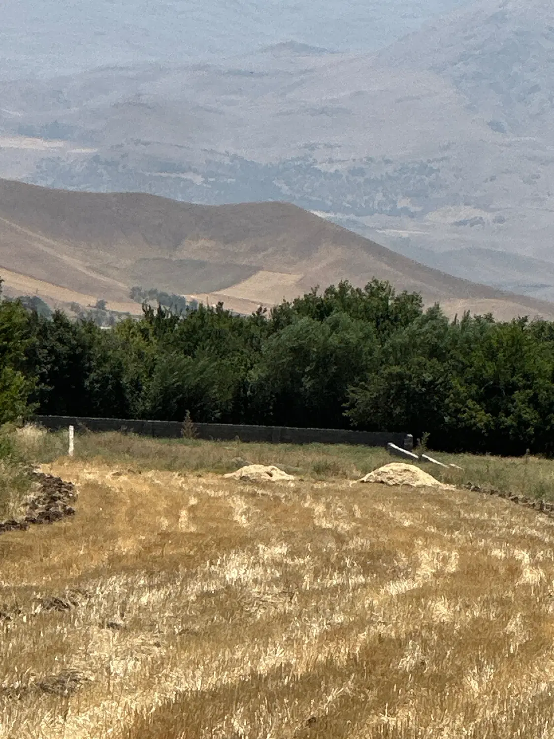 زمین دارای پروانه تاسیس گل خانه در صحنه
