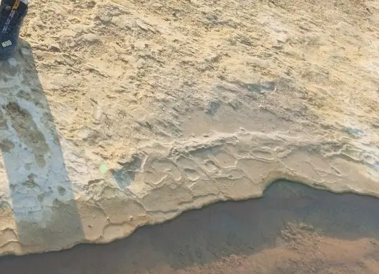 زمین  فروشی