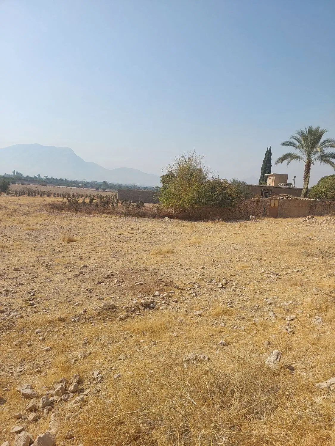 زمین مسکونی