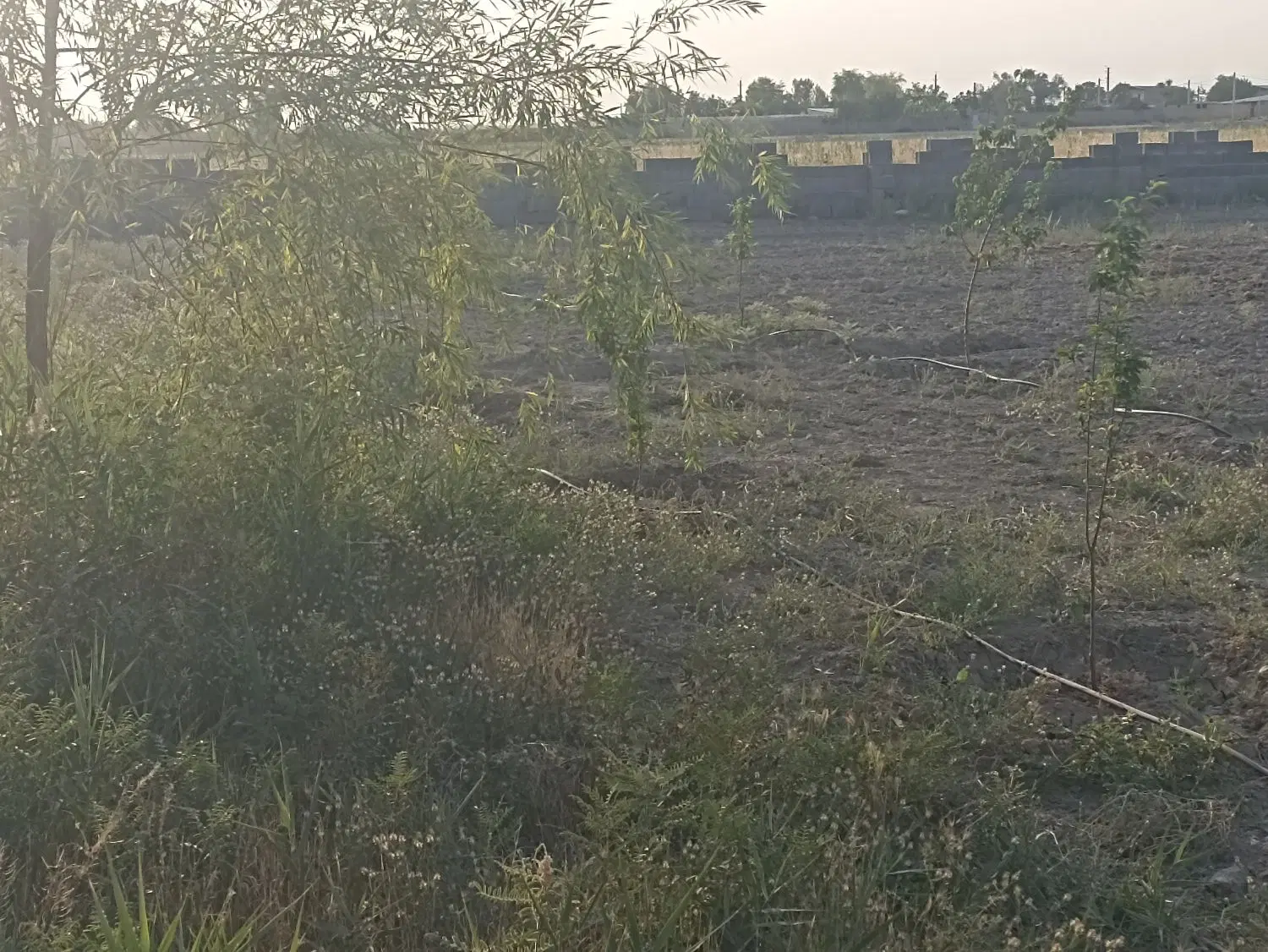 سرمایه گذاری برای گلخونه
