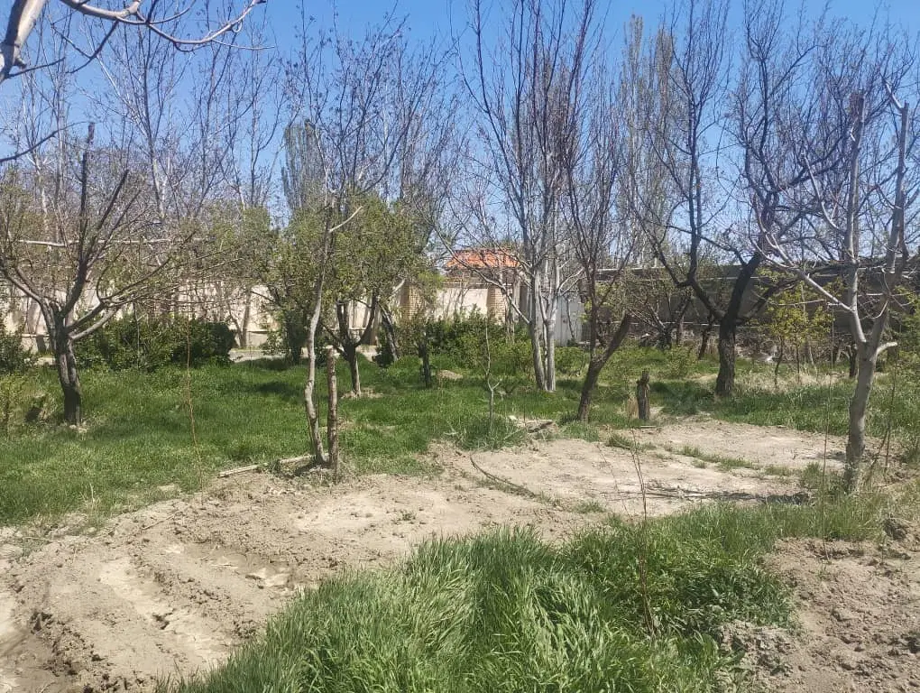 باغ ۴۰۰متری در آبشینه