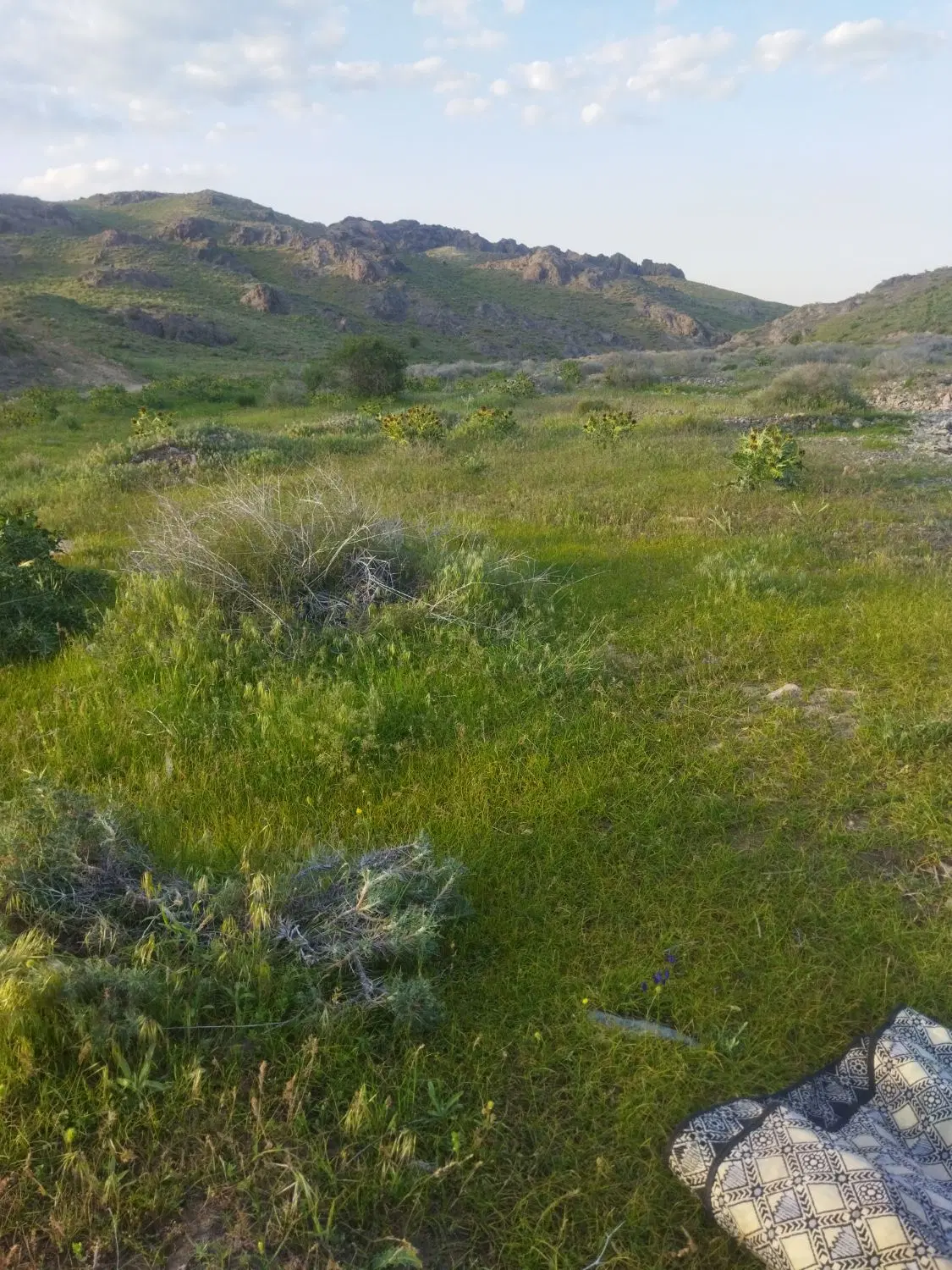 زمین فروشی
