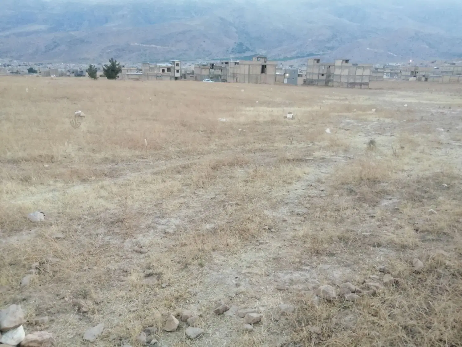 زمین