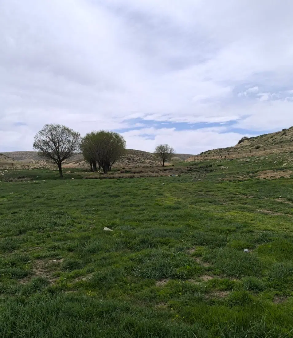 زمین ویلایی کلستان