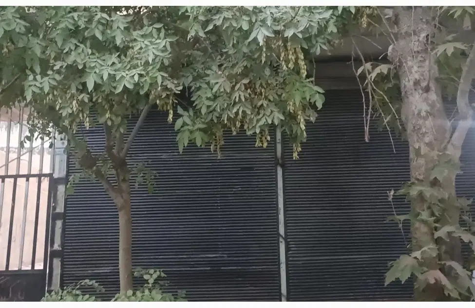 مغازه تجاری دو دهنه پشته خیابان طیب
