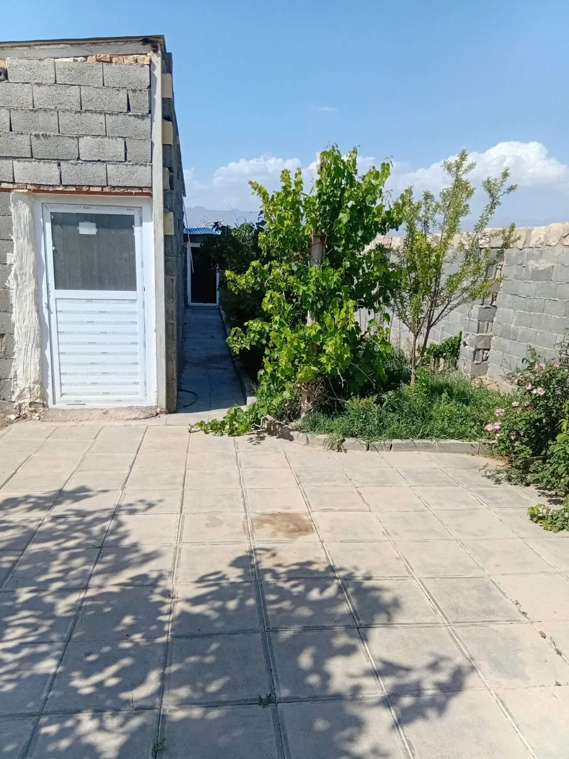 فروش سالن کارگاهی و باغچه