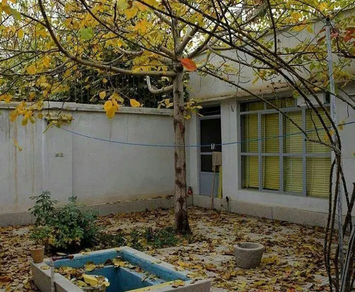 حیاط داربستی ائلگلی ( کوی سینا ) گلشهر پرواز