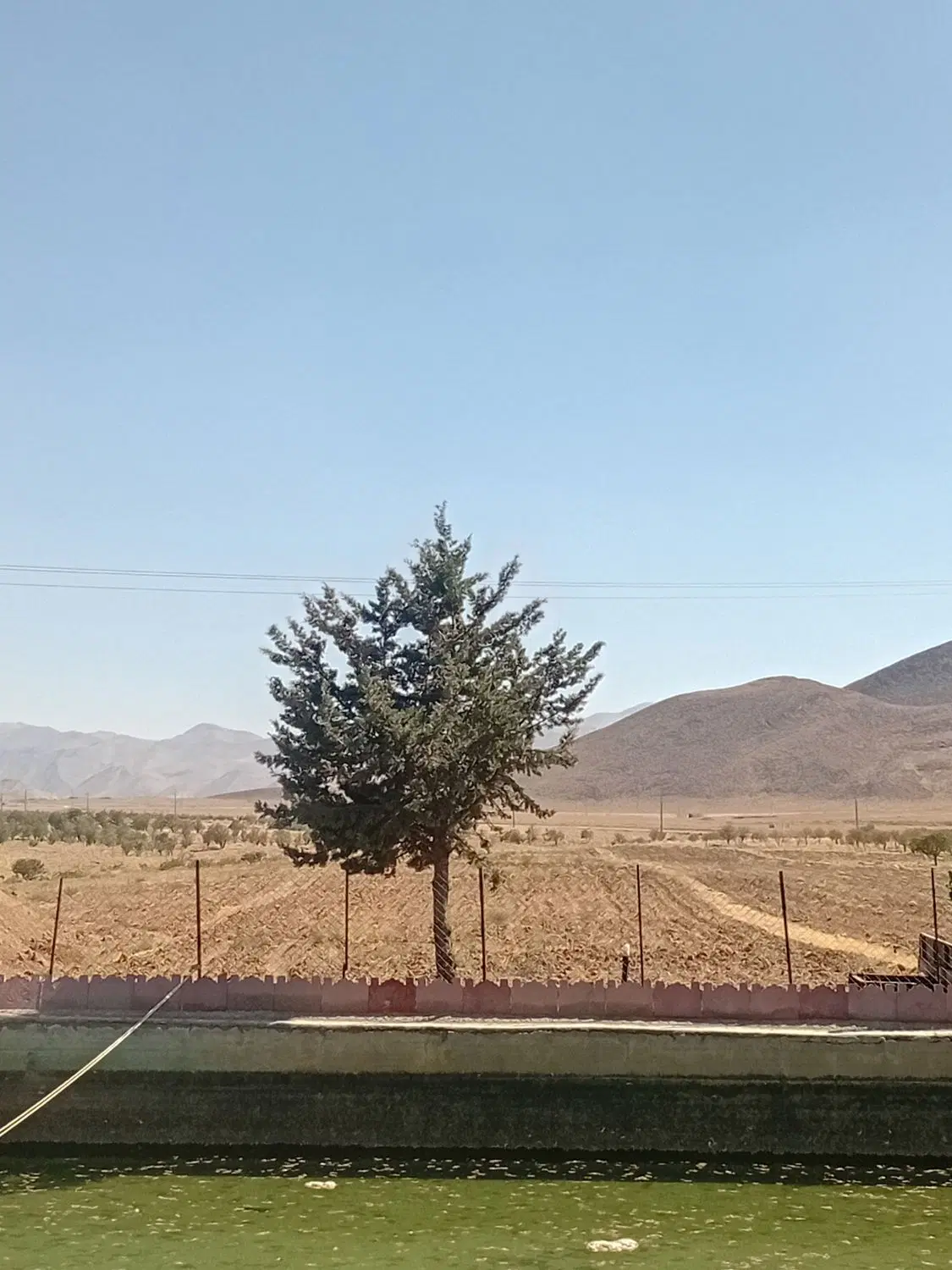 زمین کشاورزی کاشت موسیر شراکت