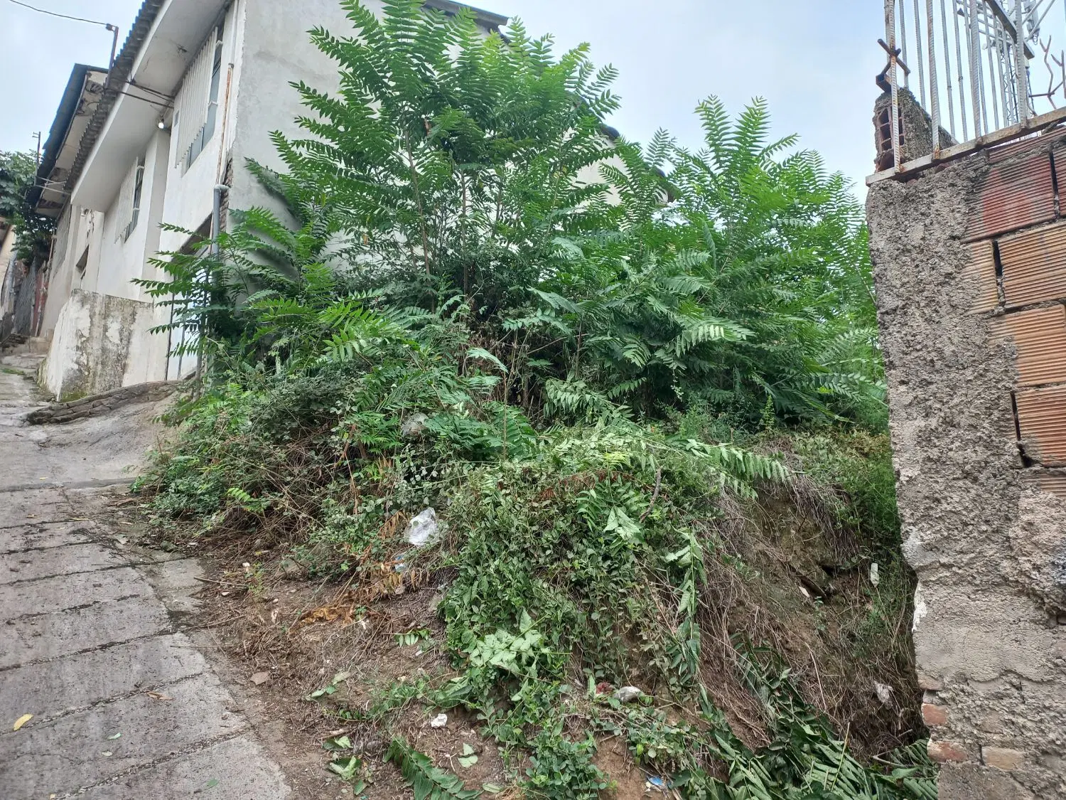فروش زمین
