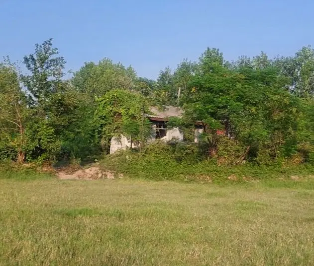 207متردرمحیطی سرسبز(داخل طرح هادی)