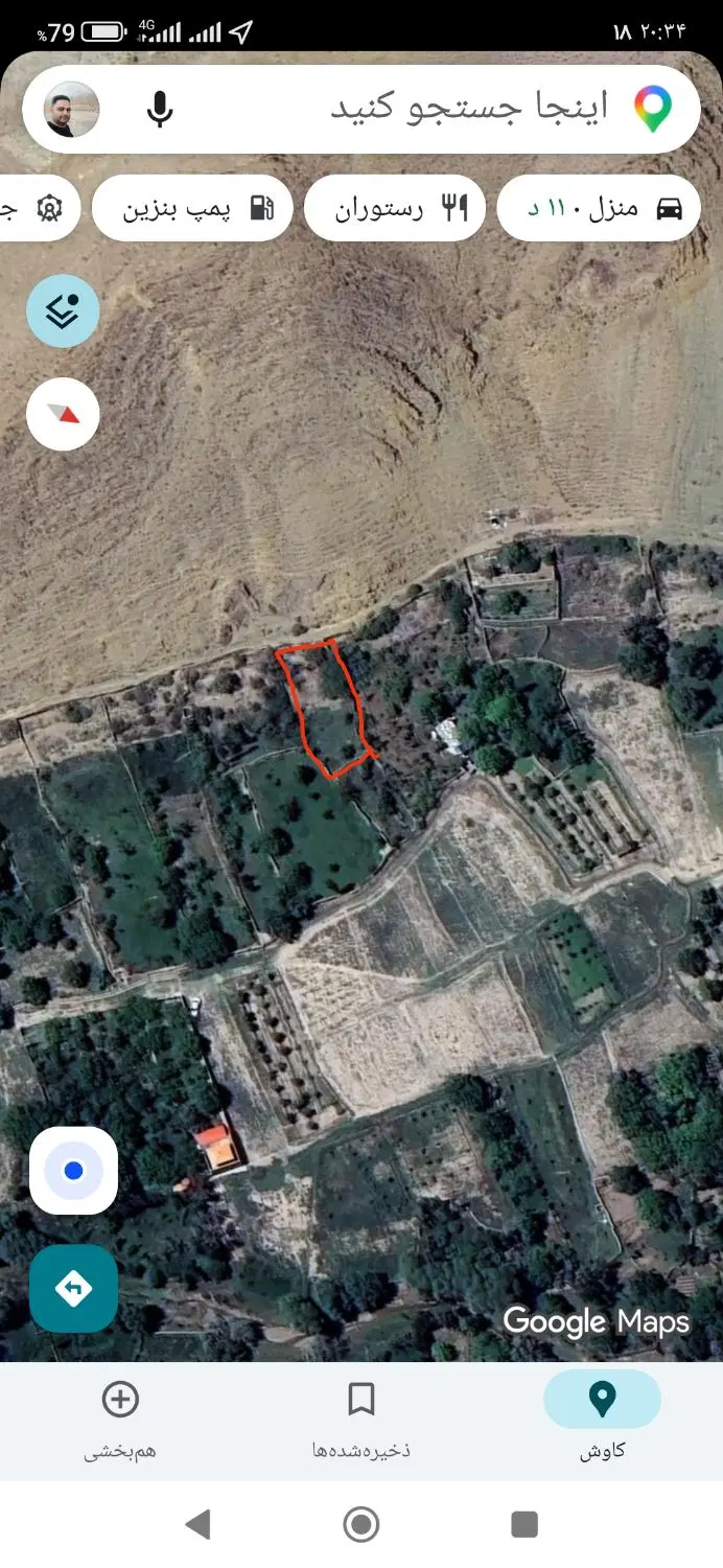 زمین باغی