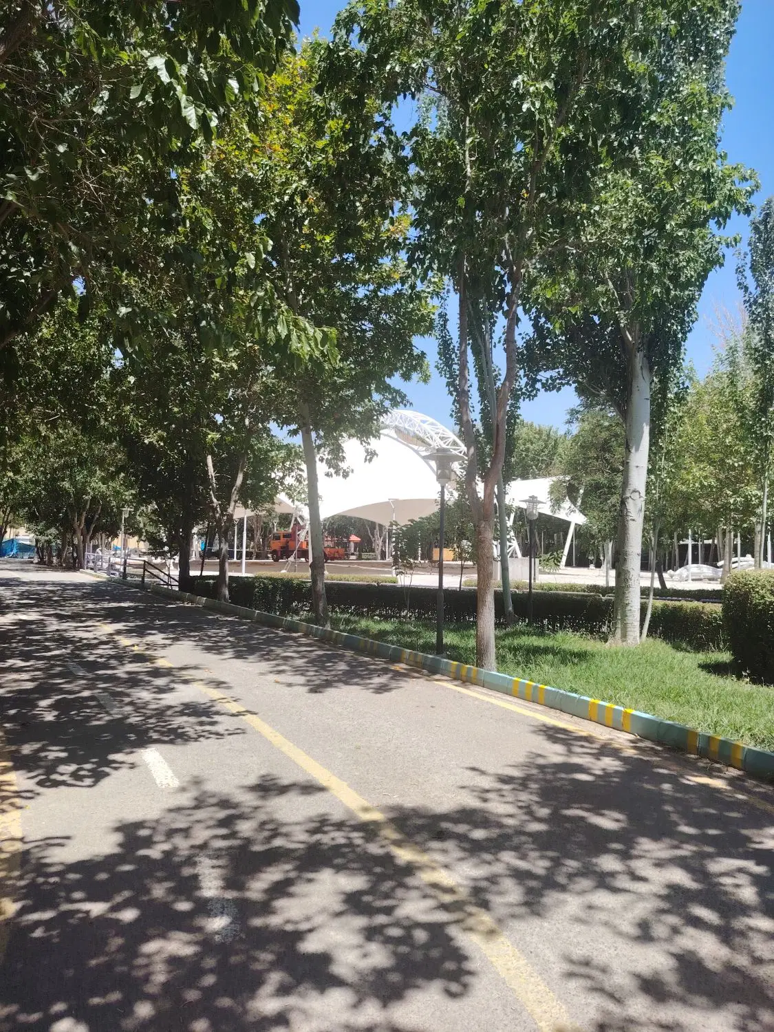 فروش باغ سند تک برگ دار