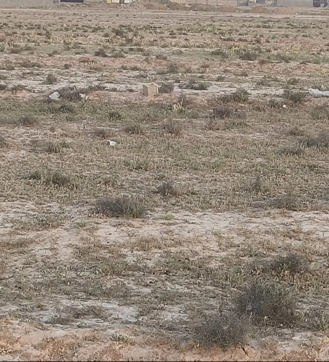 زمین مسکونی واقع در جرسقان