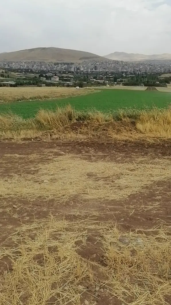 زمین خانه باغ. کوسه. روبروی تاج محل   650 متر