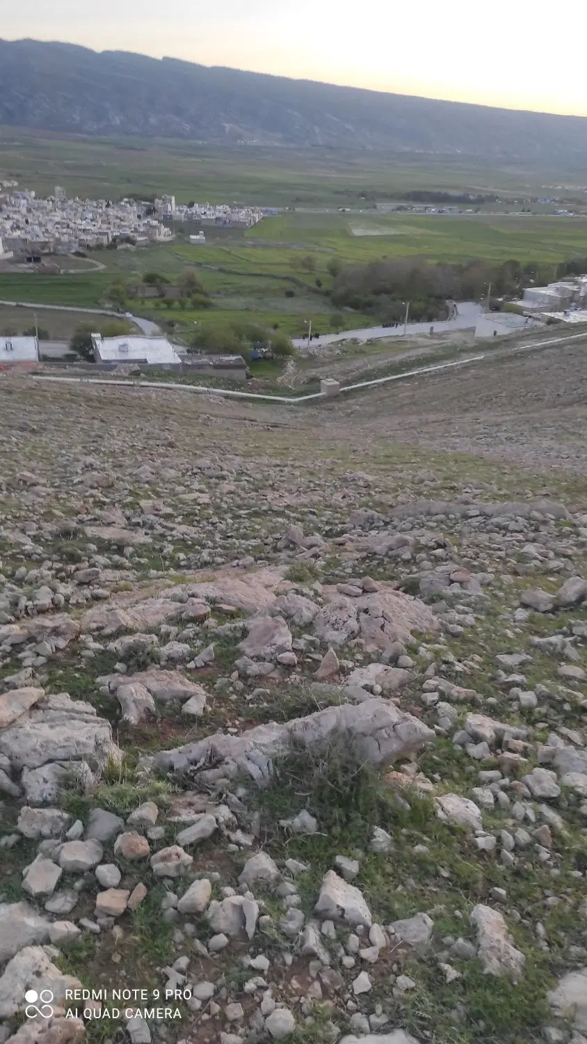 زمین