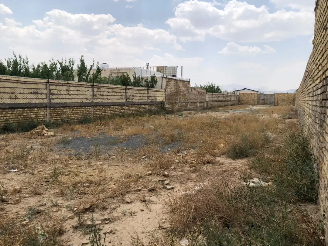 زمین باغی