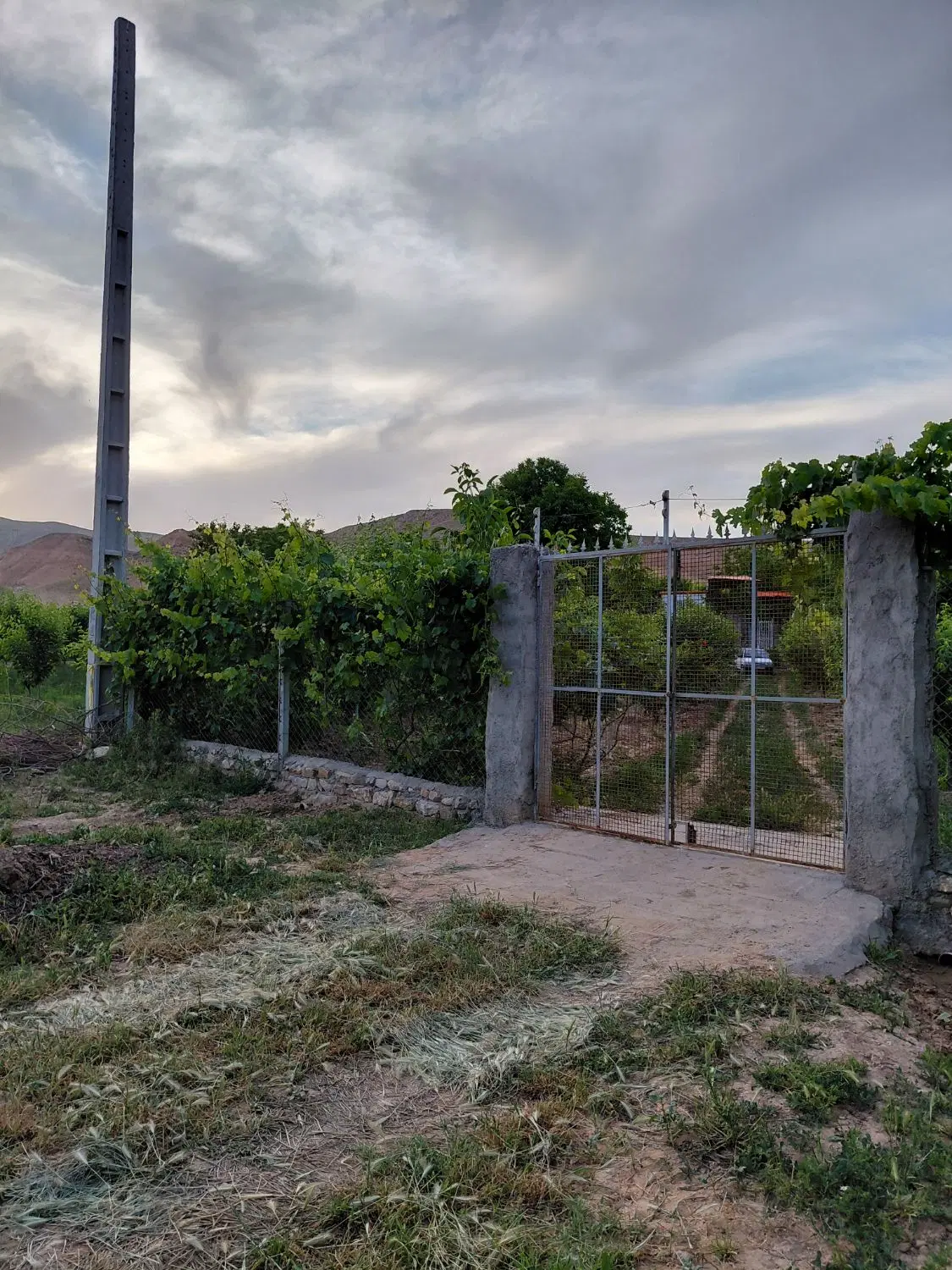 باغ حدود ۷۰۰ متر