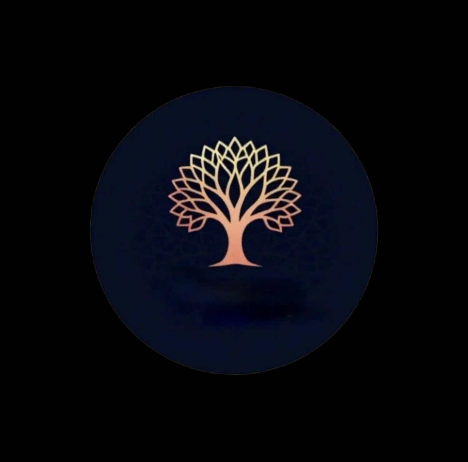 ساخت ویلا و آپارتمان(اقساط بدون سود وبهره)
