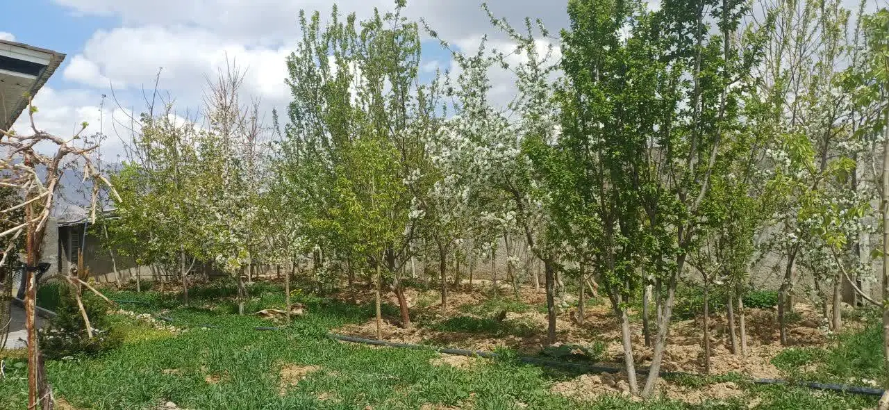 فروش ویلای ۶۱۰ متری با استخر و باغ در آبسرد دماوند