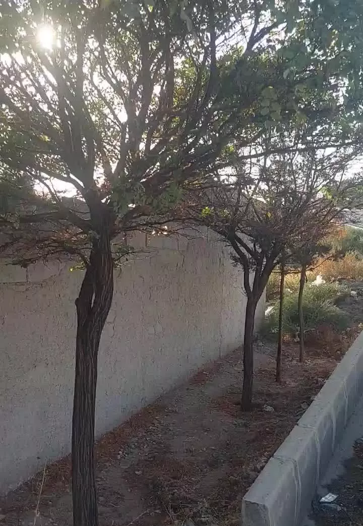بلوار اصلی پردیس به بومهن هزار متر چهاردیواری شده