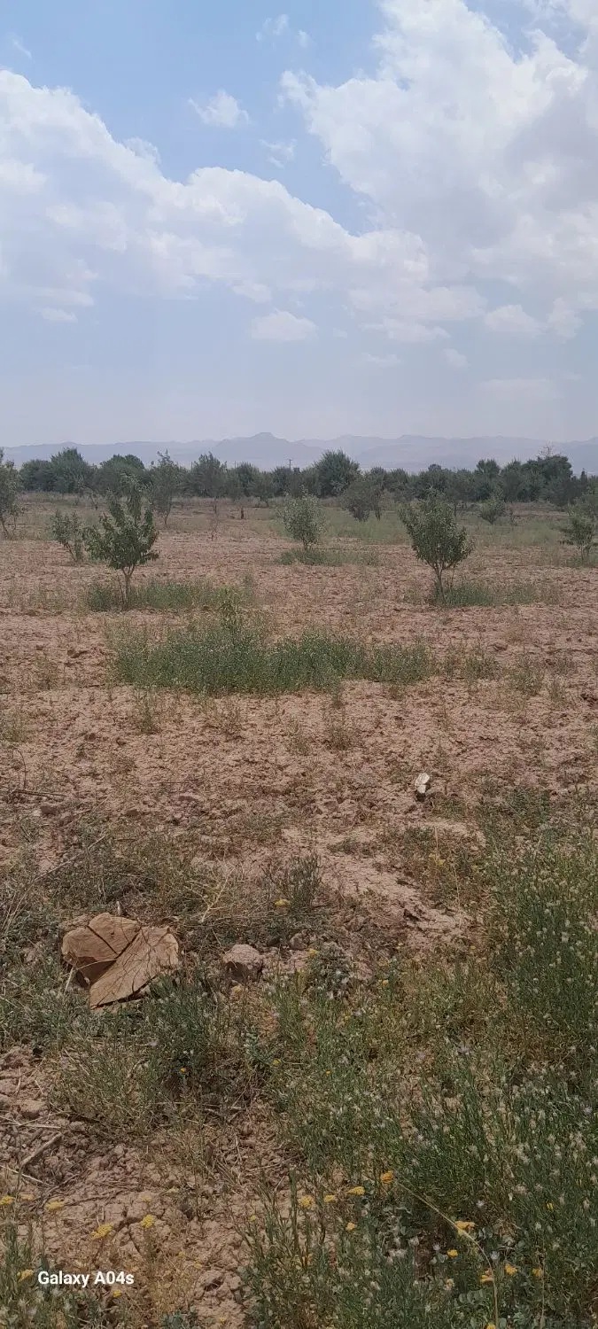باغ سند دار شهرکی