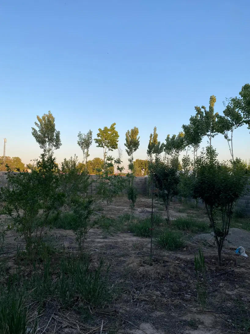 چهاردیواری بر جاده کانال یوسف رضا ورامین