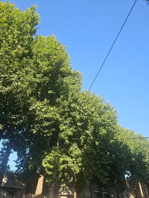 معاوضه  تجاری زمین مسکونی واحد آپارتمان،باغ و ویلا